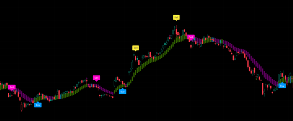 Momentum 动能交易系统 · Momentum Dynamic Trading System